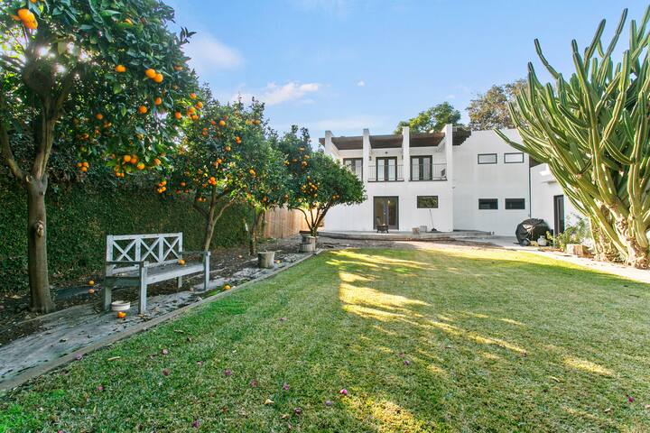 Midcentury Modern Gem with Orange Tree Haven!
