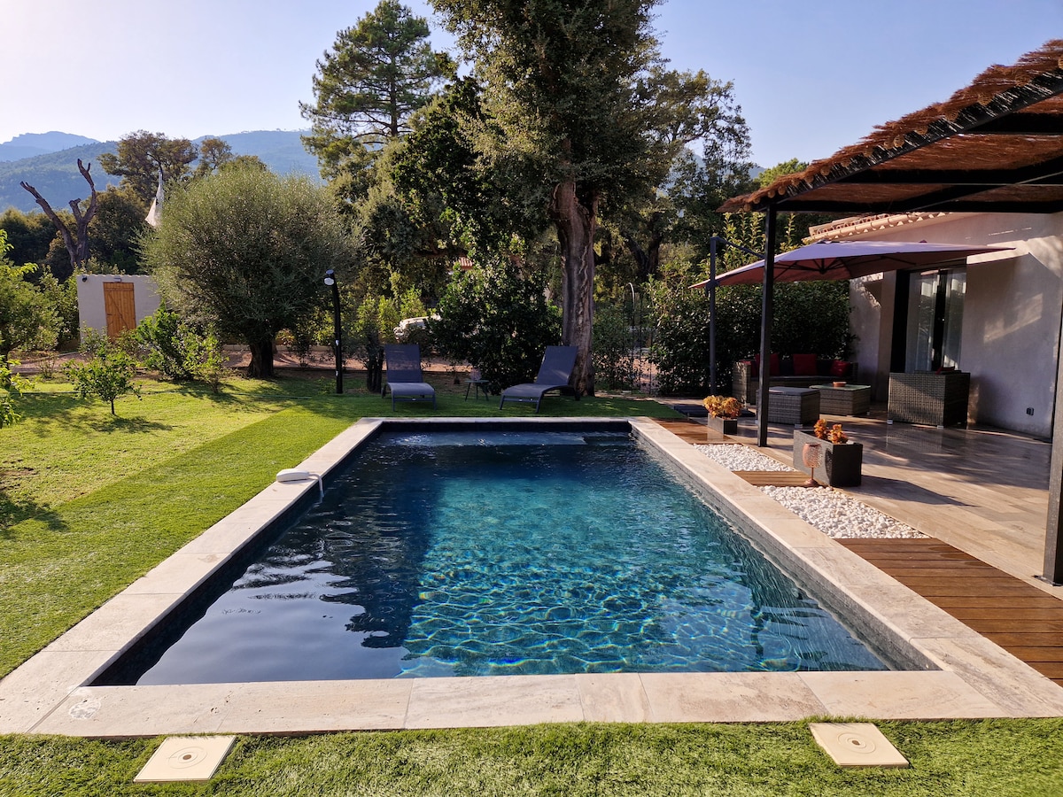 A rectangular swimming pool is surrounded by well-maintained grass and shaded by lush trees. Comfortable lounge chairs are positioned nearby under the open sky, creating a serene outdoor space. A covered terrace with seating is visible in the background.