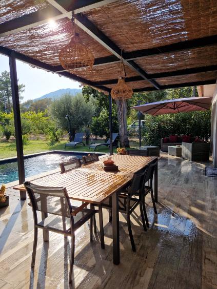An outdoor dining area is presented, featuring a wooden table surrounded by several chairs. A shaded patio, complete with decorative hanging lights, overlooks a private pool and lush greenery. A sun umbrella is positioned for additional comfort. The scene is bright and welcoming.
