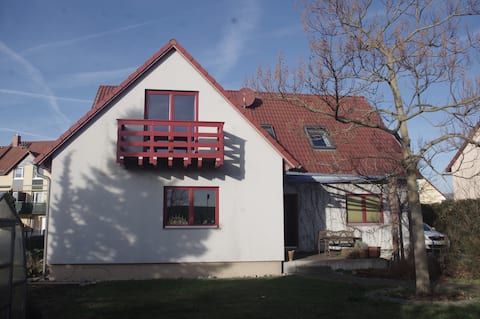 Popular Airbnb listing: Field Border Colorful in Sachsen