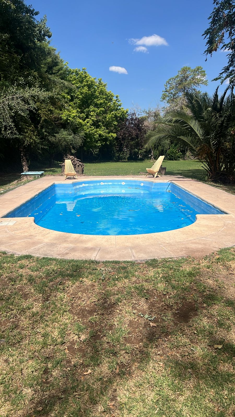 A rectangular swimming pool with clear blue water is surrounded by a spacious lawn dotted with greenery. Two lounge chairs are positioned beside the pool, inviting relaxation. Tall trees and shrubs create a natural backdrop, enhancing the outdoor space.