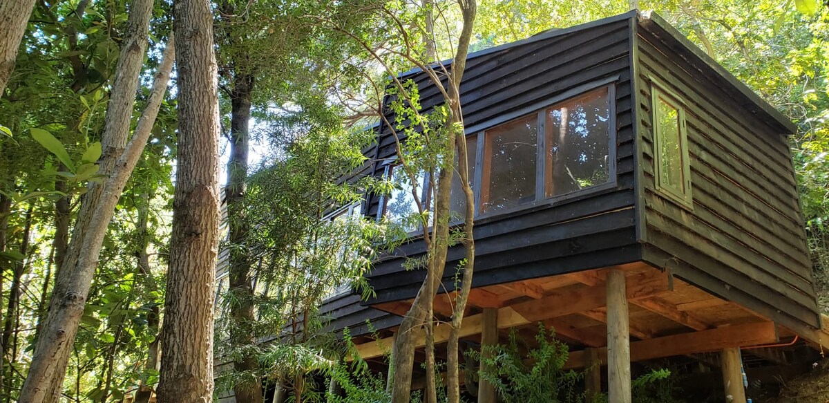 A wooden cabin stands elevated on stilts, surrounded by lush greenery. Large windows reflect the natural light, offering views of the forest. The structure is framed by trees, emphasizing its peaceful location in the heart of nature.