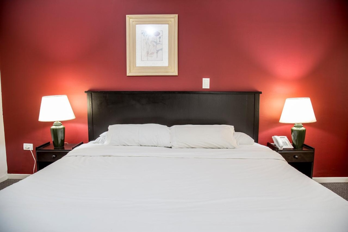 A spacious bed is centered against a deep red wall, complemented by two bedside tables with green lamps. Soft lighting creates a cozy ambiance, while a framed artwork adds a touch of decor above the headboard.