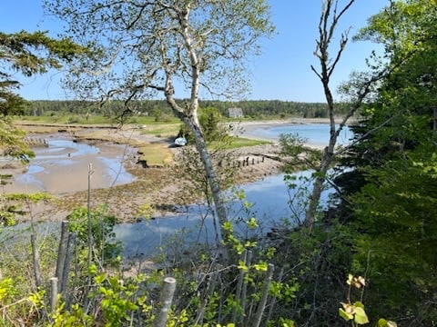 A serene view of a coastal landscape is captured, featuring a blend of sandy shorelines and shallow waters. Lush greenery and trees frame the scene, with a distant glimpse of a boat and signs of tidal flows visible in the background.