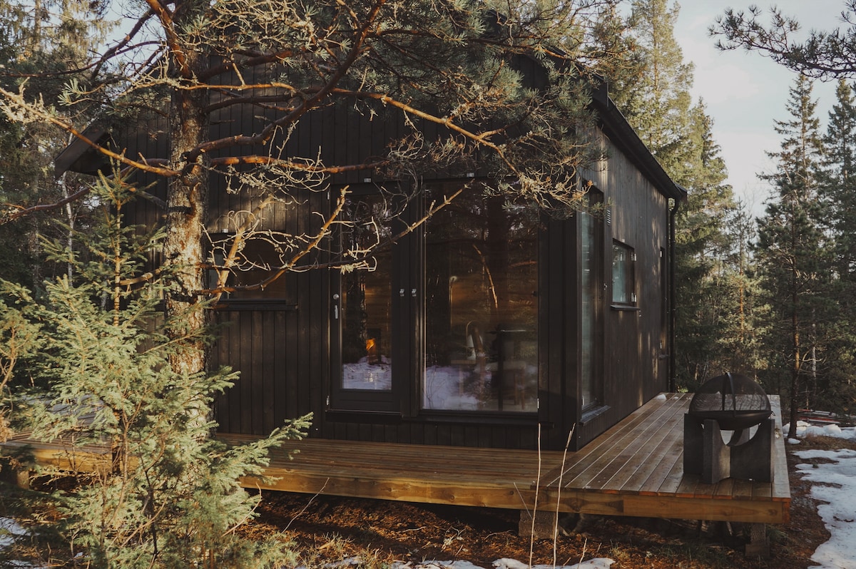 A secluded cabin sits among tall trees, featuring a wooden deck with a small fire pit. Large glass doors provide a view of the interior, allowing natural light to enter. The surrounding area shows remnants of snow, highlighting the cabin's rustic charm.