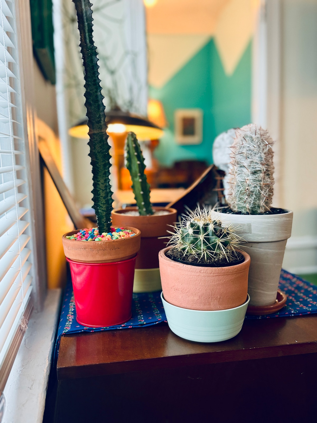 Casa Cactus on The Park! - Apartments for Rent in Minneapolis, Minnesota,  United States - Airbnb