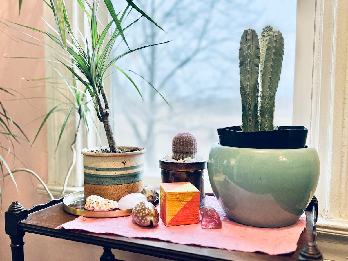 Casa Cactus on The Park! - Apartments for Rent in Minneapolis, Minnesota,  United States - Airbnb
