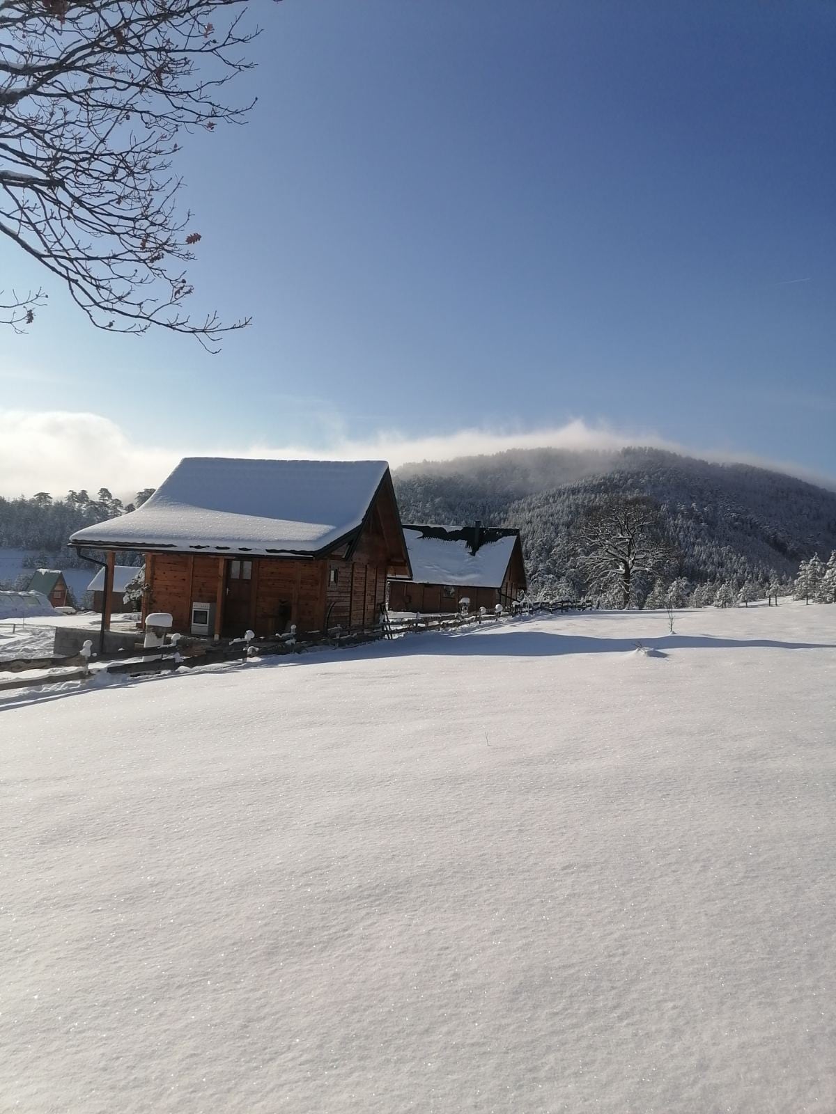 A charming wooden house is set against a snowy landscape, with trees lightly dusted in snow and a distant mountain shrouded in mist. The clear sky above adds to the serene winter atmosphere.