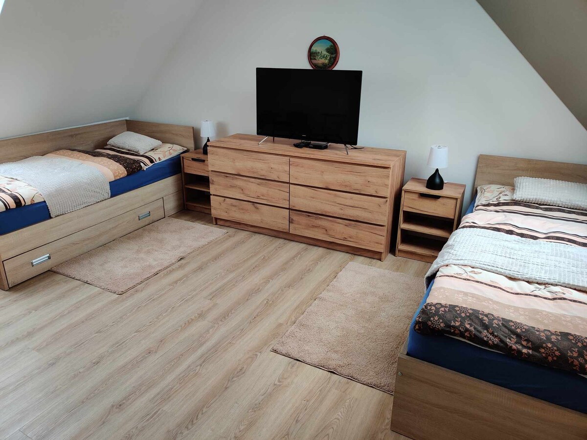 The room features two twin beds with dark blue bedding and wooden frames on either side of a dresser. A television rests atop the dresser, accompanied by two bedside lamps. Soft area rugs cover the light wooden floor, enhancing comfort.