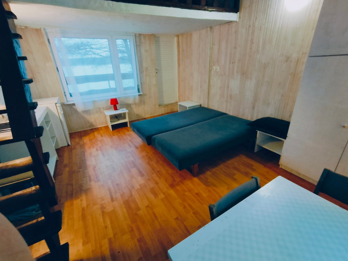 A spacious studio features wooden flooring and light-colored walls. Two beds are placed side by side, with a dining table and chairs nearby. Natural light enters through large windows, complemented by a small red lamp on a side table.