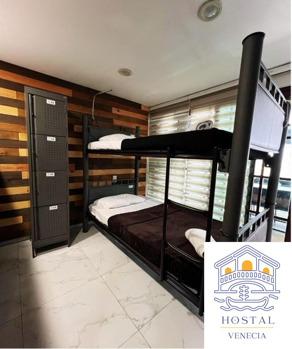 A modern bunk bed is featured in a cozy room, complemented by wooden accent walls. Below the bed, a dark blanket is neatly arranged on the lower mattress. Lockers are available for storage, adding practicality to the space with ample natural light filtering in through large windows.
