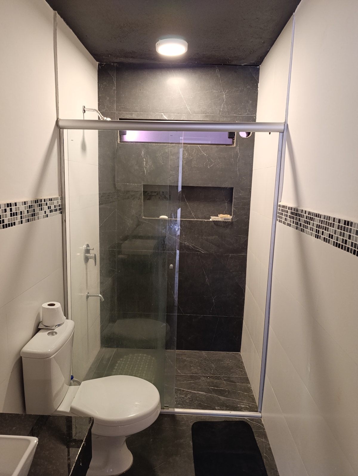 A modern bathroom featuring a walk-in shower enclosed by clear glass. Black and white tiles create a sleek aesthetic, with a small built-in shelf for toiletries visible in the shower area. A toilet is positioned next to the shower, and natural light is provided by a ceiling light fixture.