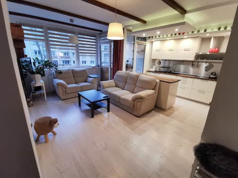 Top Airbnb: The Cozy Spot 38 (free parking) in Wilda