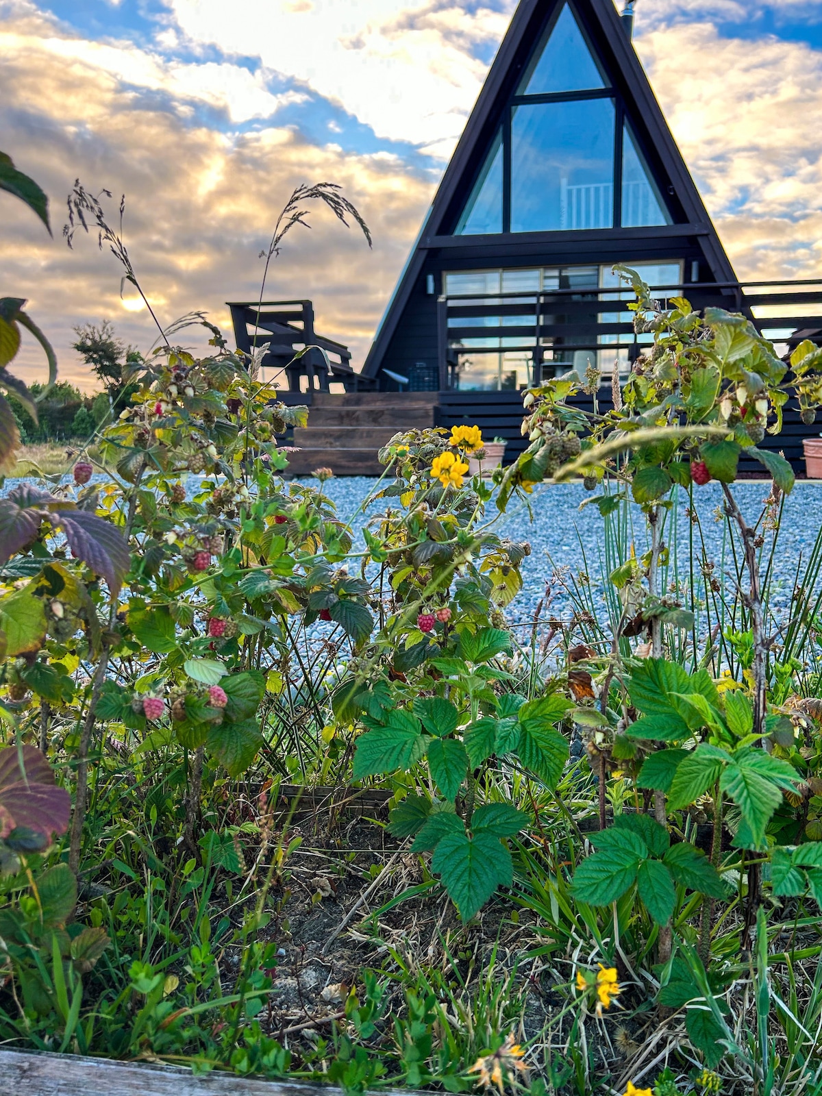 A charming A-frame cabin is surrounded by lush greenery, with wildflowers and raspberry bushes in the foreground. Light cloud cover casts a gentle glow over the scene, highlighting the cabin's large glass front that invites natural light into the interior.