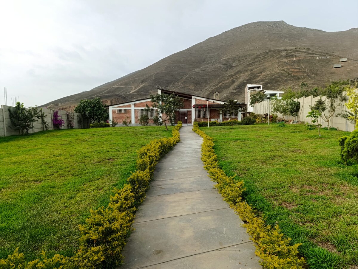 A wide pathway lined with low shrubs leads to a spacious house, set against the backdrop of a large, gentle hillside. The green lawn stretches out on either side, creating an inviting outdoor area for relaxation.