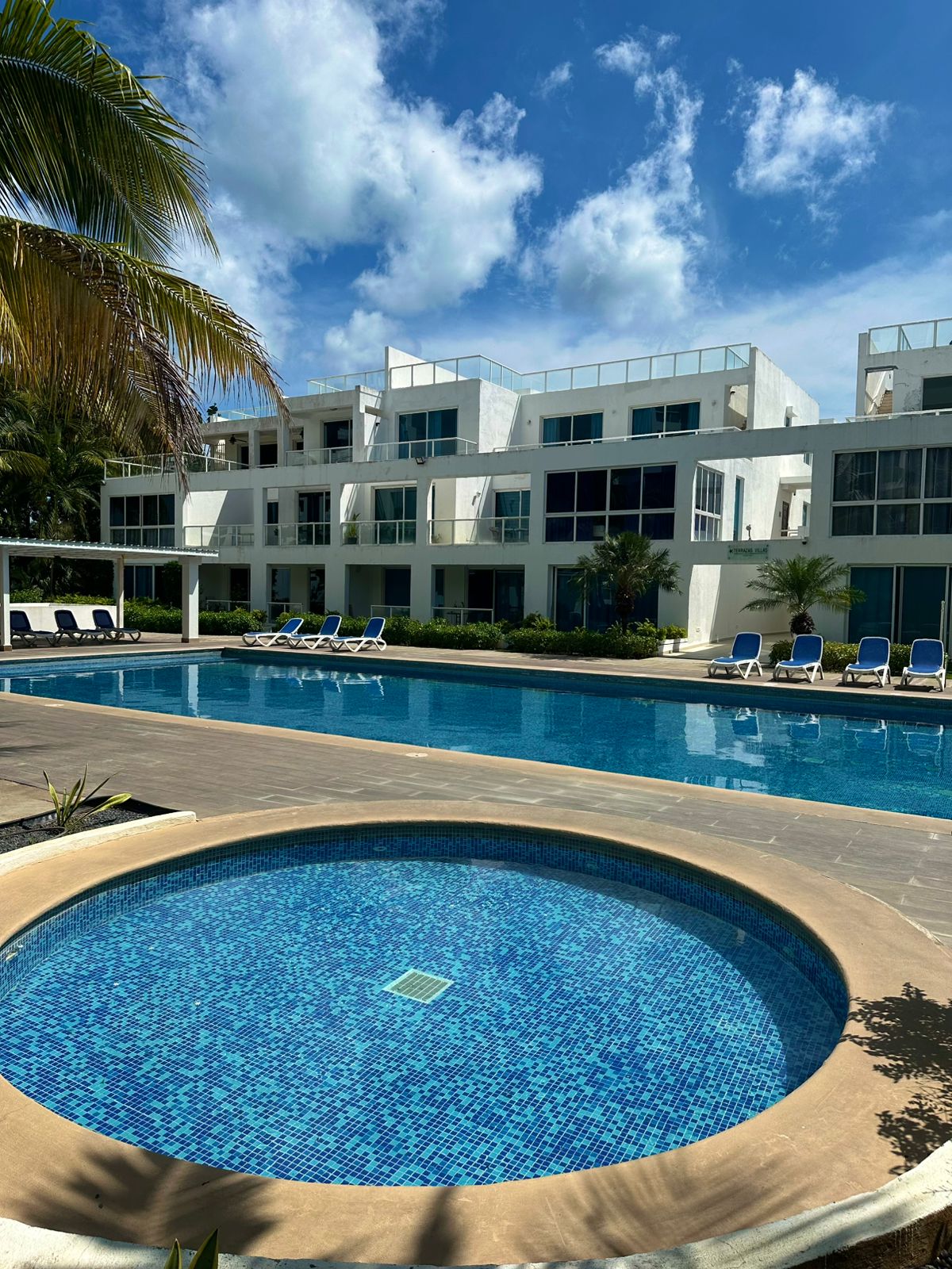 A spacious swimming pool is surrounded by lounge chairs and palm trees. Sunlight reflects off the clear water, with a smaller circular hot tub located in the foreground. The modern building features multiple large windows, allowing for a bright and airy atmosphere.