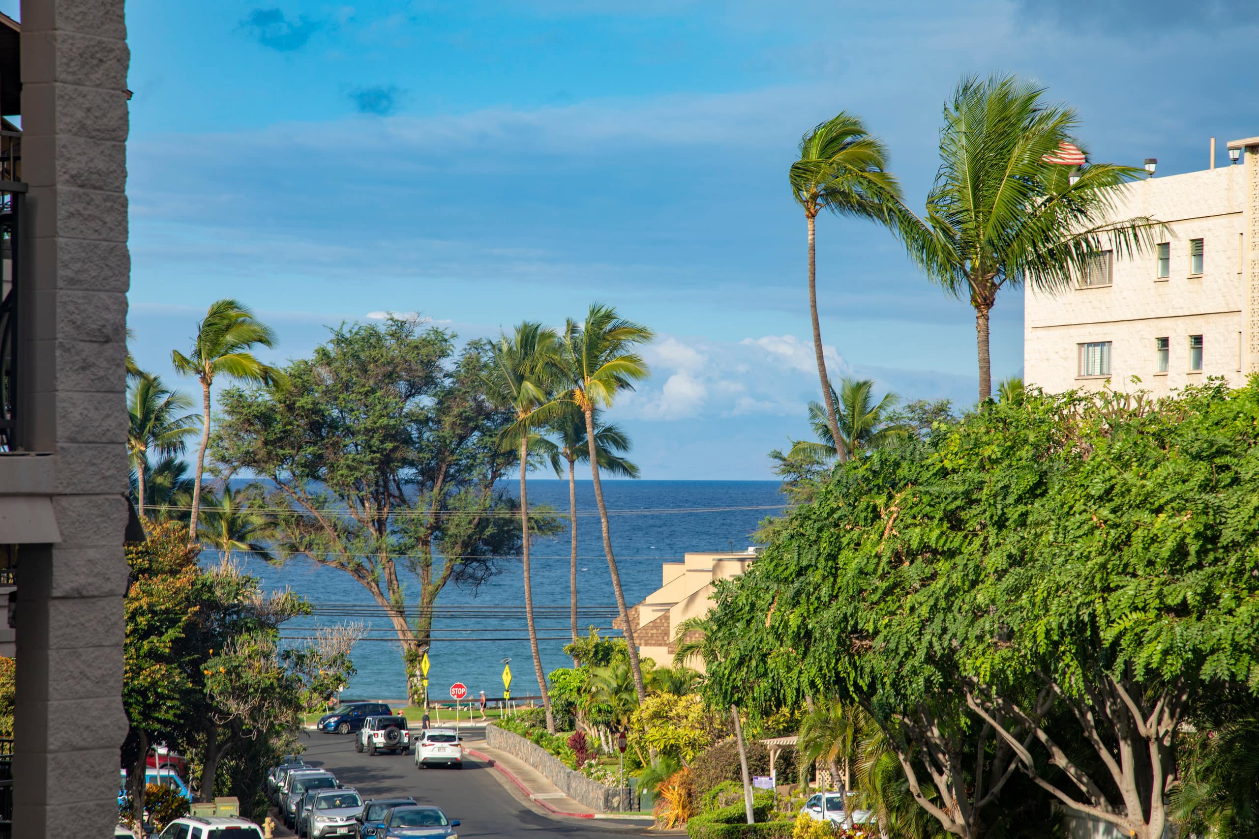 Condo in Kihei · ★4.86 · 2 bedrooms · 4 beds · 2 baths - Image 38