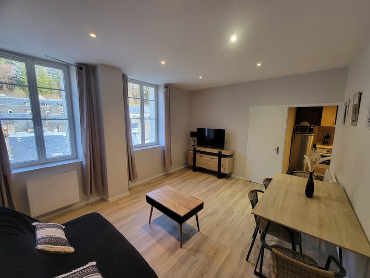 Appartement Au Cœur Du Mont-dore - Mont-Dore