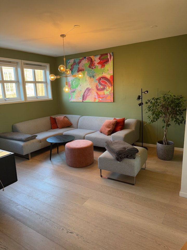 Innbydende Toppleilighet - Oslo