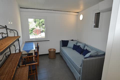 Proprietà Airbnb di successo: Casa Virginia - sea view terrace - Cinque Terre a Monterosso Al Mare