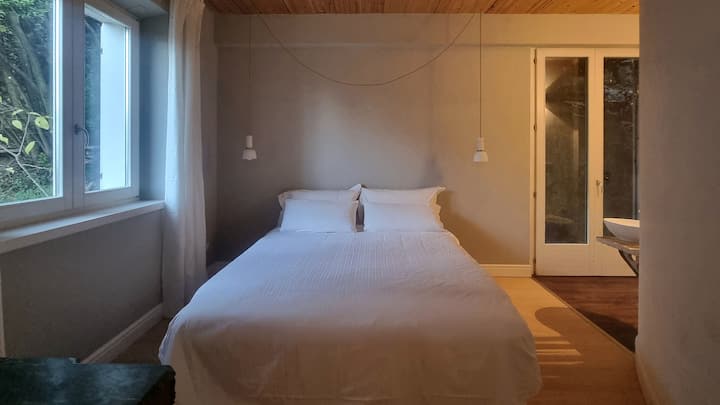 Spavaća soba s privatnom kupaonicom, ladicama i visećim stalkom. Pogled na planine