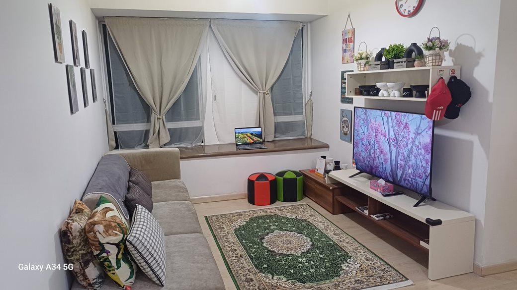 A comfortable living area features a spacious sofa and a flat-screen television mounted on a light-coloured media unit. Natural light enters through large windows with draped curtains. Decorative wall frames and potted plants add a touch of greenery, while a patterned area rug enhances the space.