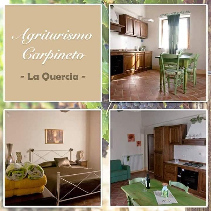 Appartamento In Agriturismo Con Piscina  Toscana 1 - Itália