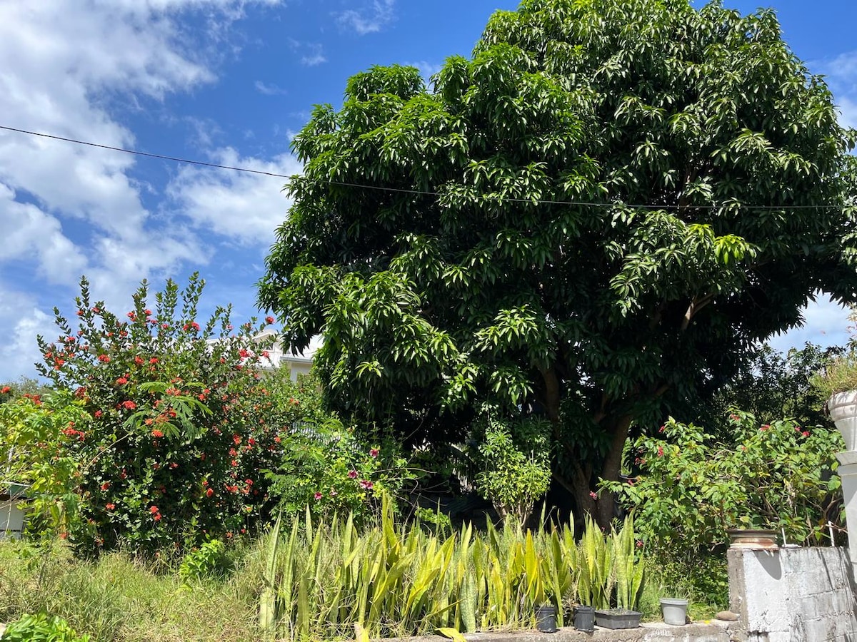 A lush backyard is displayed, featuring a large mature fruit tree and vibrant flowering bushes. Various green plants, including tall foliage, add to the natural ambiance under a bright blue sky with scattered clouds.
