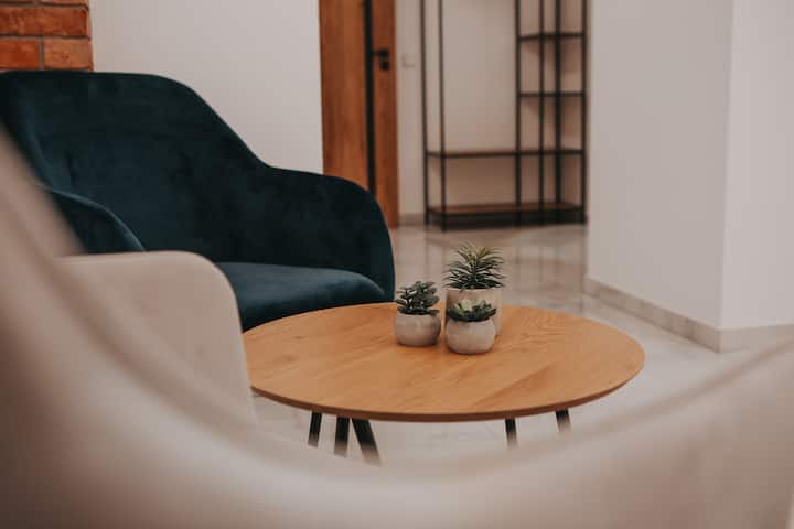 Pokoj Deluxe 3 Zizkoffapartments - Praga
