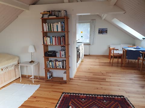 Beautiful, cosy attic apartment