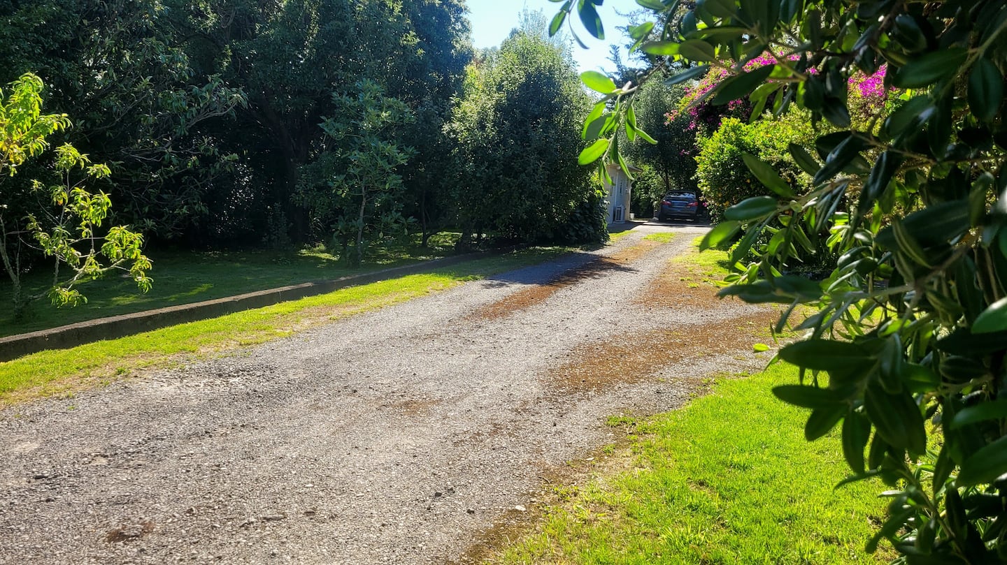 The Cottage 2