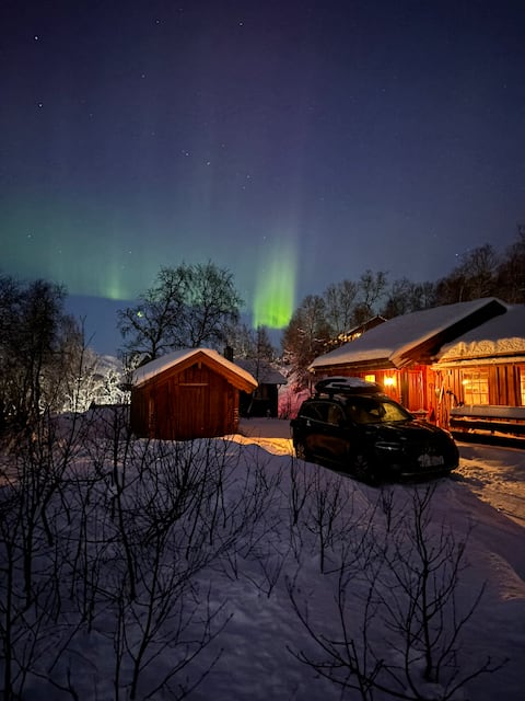 Cozy mountain cabin on Filefjell