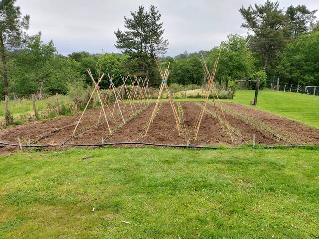 Casa rural Eguzkilore. gallery image 5