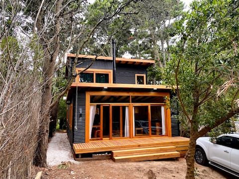 blue sea, cabin in the woods