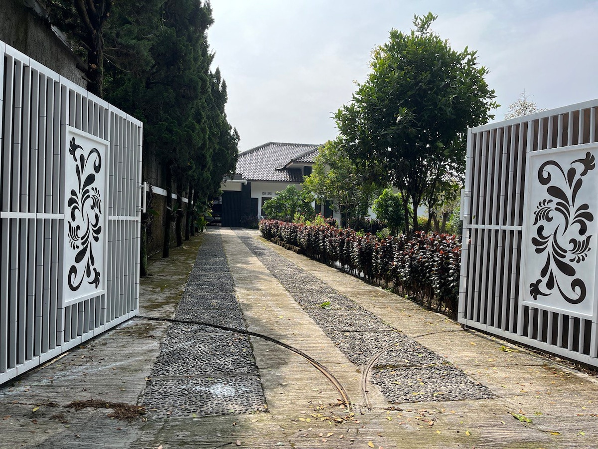 The entrance features decorative white gates that open onto a pebble-strewn driveway lined by manicured hedges and flowering bushes. Towering trees provide shade along the path, leading to the villa in the distance, harmonizing with the serene surroundings.
