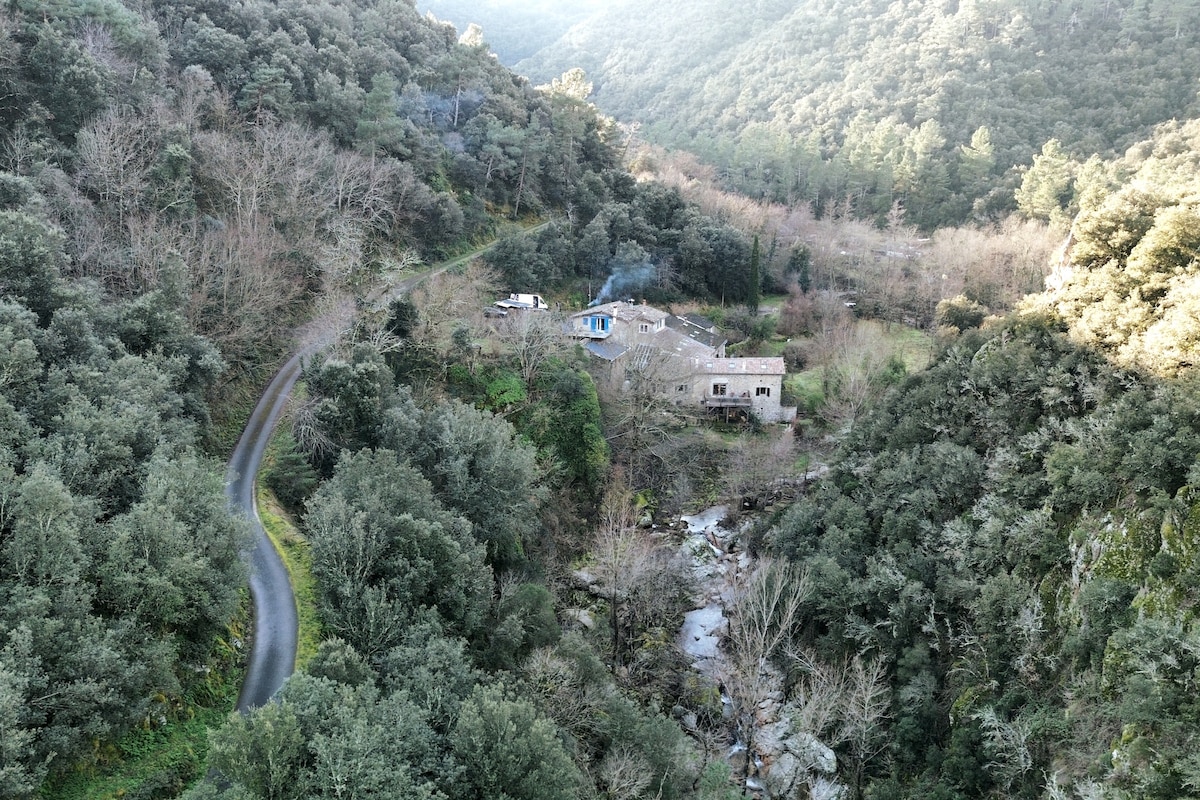 An aerial view captures a tranquil dwelling nestled among lush green trees, with a winding road leading towards the structure. The surrounding mountains and flowing river create a peaceful natural landscape, enhancing the feeling of seclusion and harmony with nature.