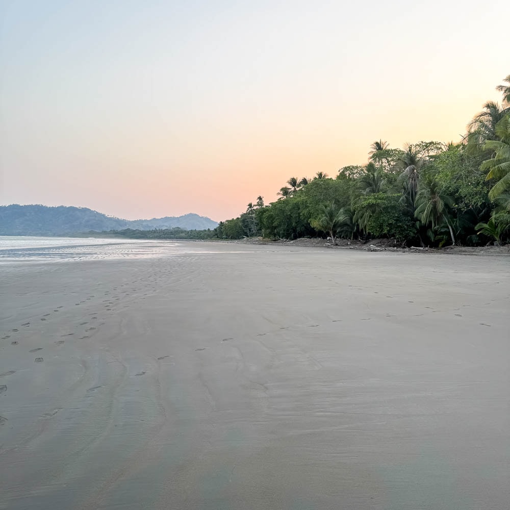 A serene beach scene captures soft, sandy shores lined with gentle waves. The horizon reveals a pastel sunrise, while lush greenery and palm trees provide a natural backdrop. Footprints in the sand lead toward the tranquil ocean, enhancing the peaceful ambiance.