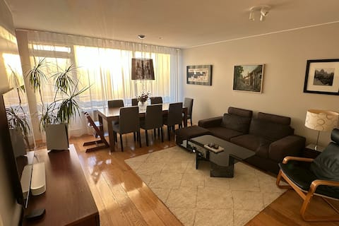 Comfy 3-4BR apt close to DT
