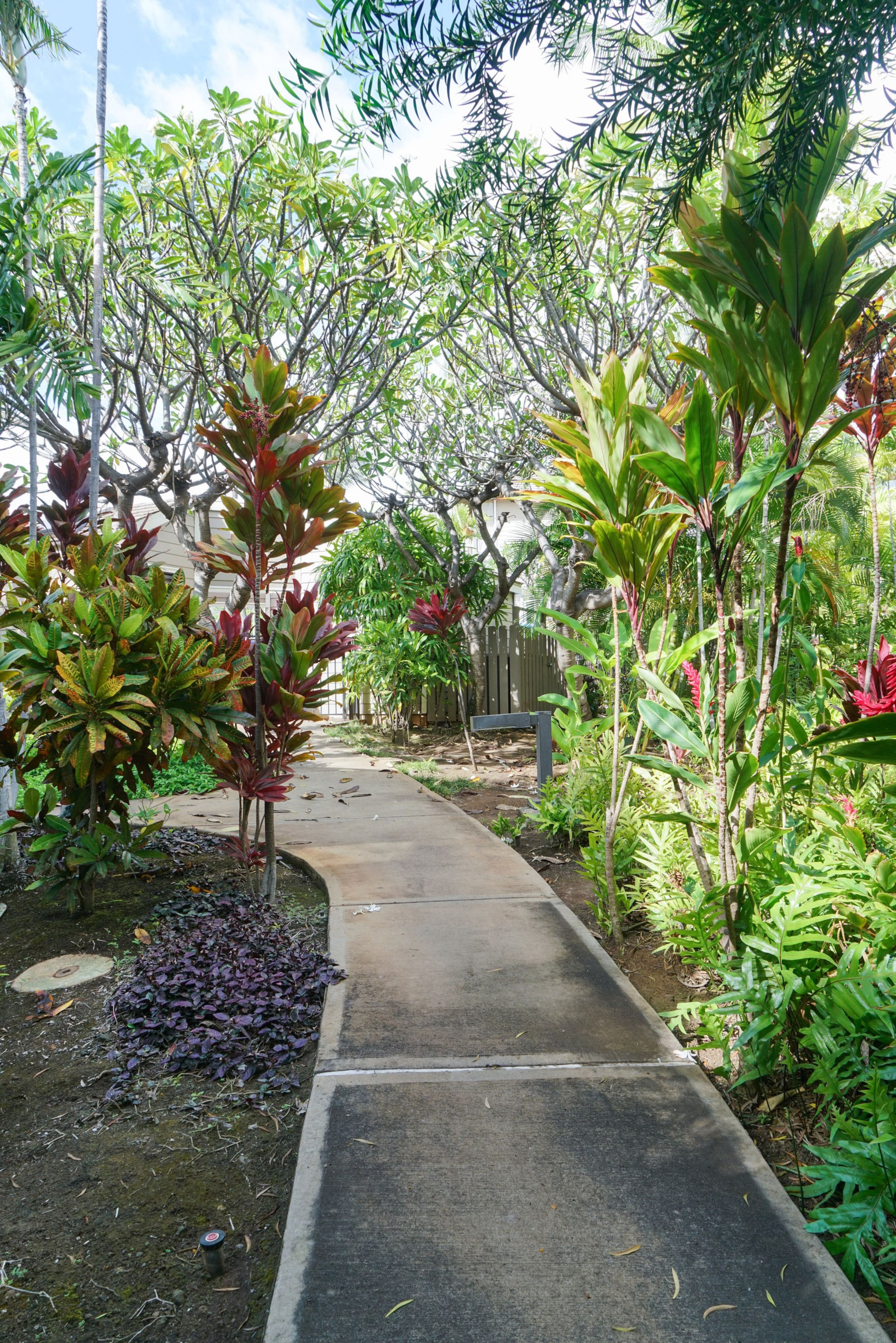 Condo in Wailea · ★4.95 · 2 bedrooms · 3 beds · 2 private baths - Image 35