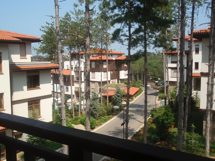 Трехкомнатный люкс в соснах у моря в Санта Марина - Sozopol