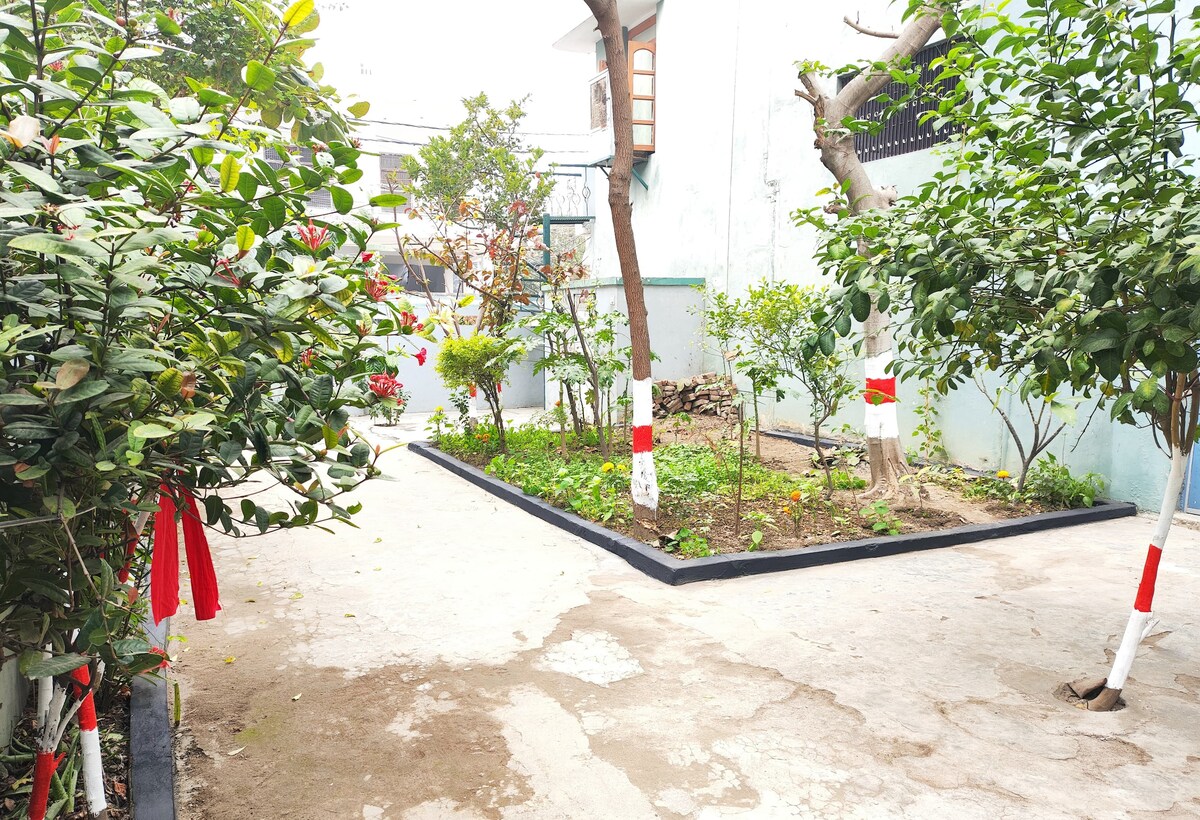 A garden area is visible, enclosed by trees and shrubs, creating a serene environment. The ground is mostly concrete, with patches of greenery and flower beds. Decorative ribbon accents on trees add a colorful touch, while an open space is available for relaxation and play.