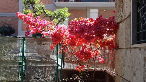 Mare, giardino, relax