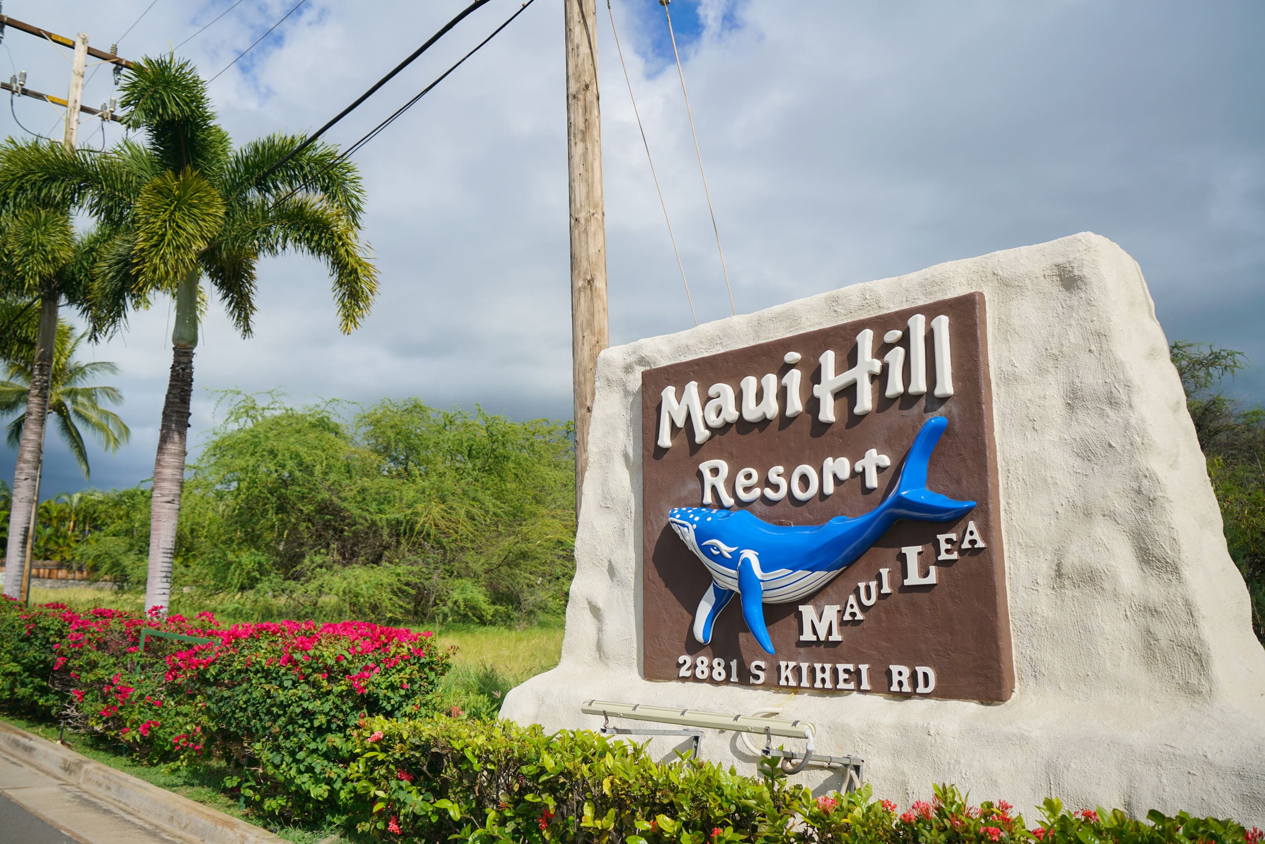 Condo in Kihei · ★4.94 · 2 bedrooms · 3 beds · 1 private bath - Image 38