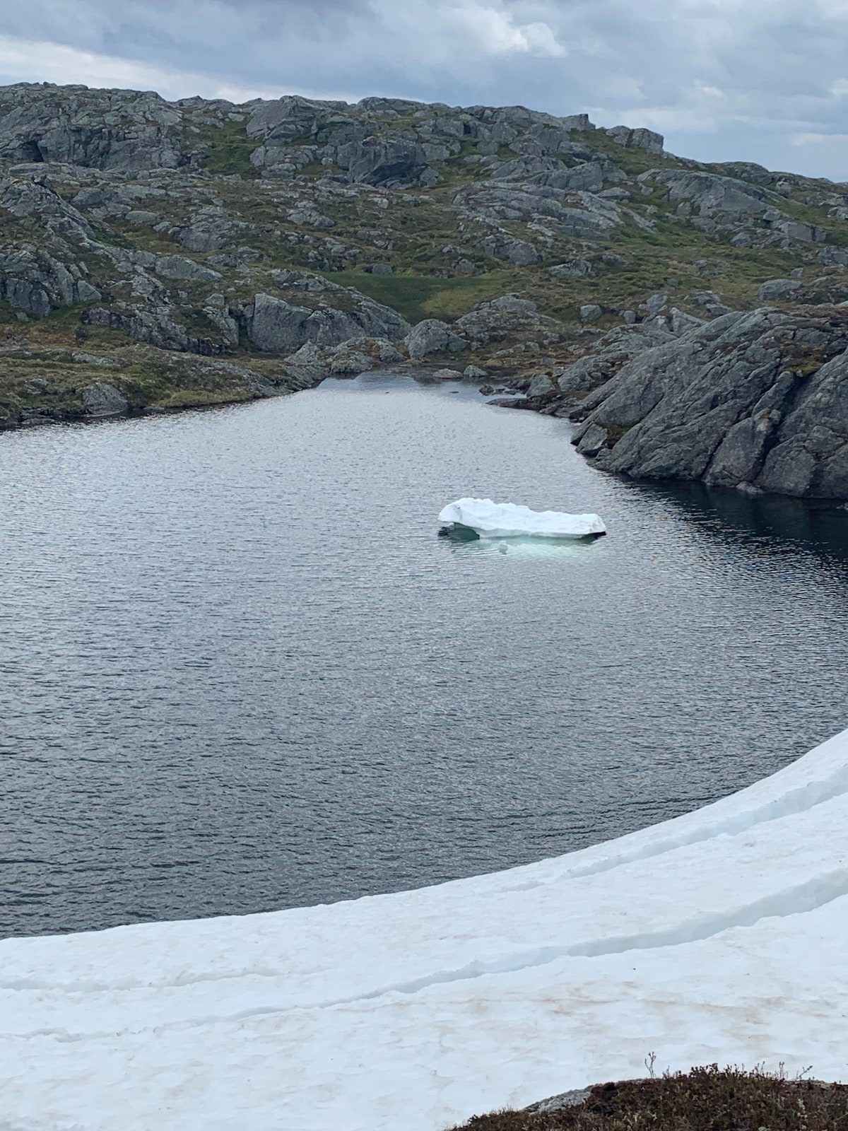 A serene waterway is surrounded by steep, rocky terrain. An iceberg floats calmly on the shimmering water, reflecting shades of blue and green. Subtle ripples in the water create a gentle motion, while the lush greenery of the hillside contrasts with the rocky surfaces.