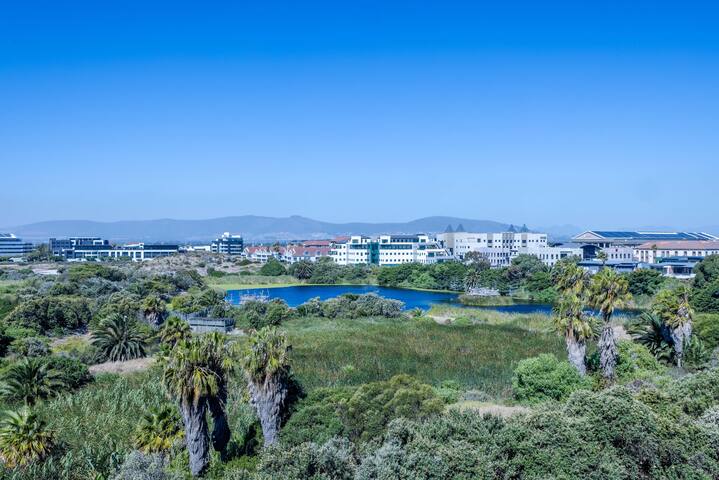 Elegant 3BR Apartment with Amazing Views gallery image 5