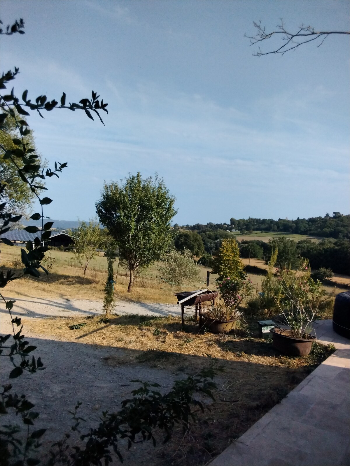 A serene countryside view showcases rolling hills and scattered trees under a partly cloudy sky. The foreground includes a gravel path and potted plants, creating a natural frame that leads towards the landscape beyond, emphasizing the peaceful setting.