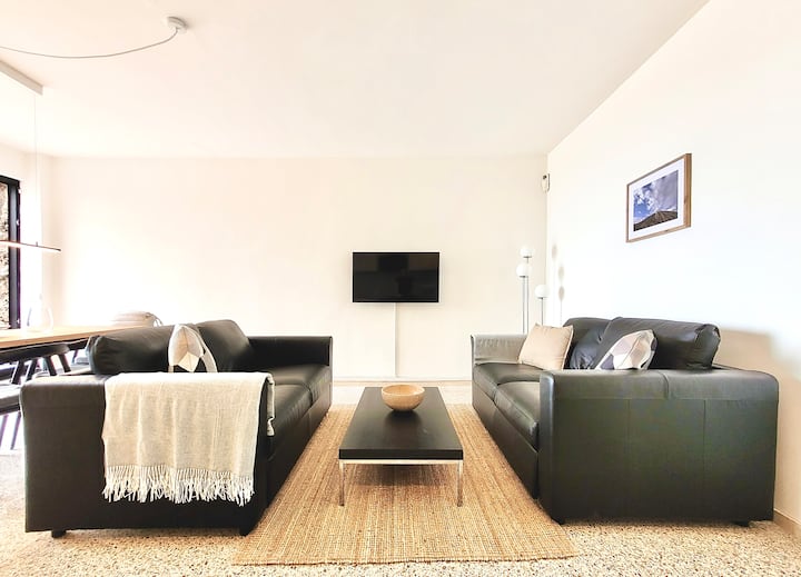 Dnevni boravak s dva udobna kauča i pametnim televizorom