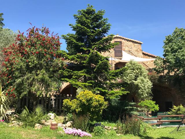 Mascaros large house with pool gallery image 3