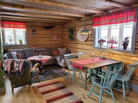 Successful Airbnb property: Lillstugan in Ulricehamn