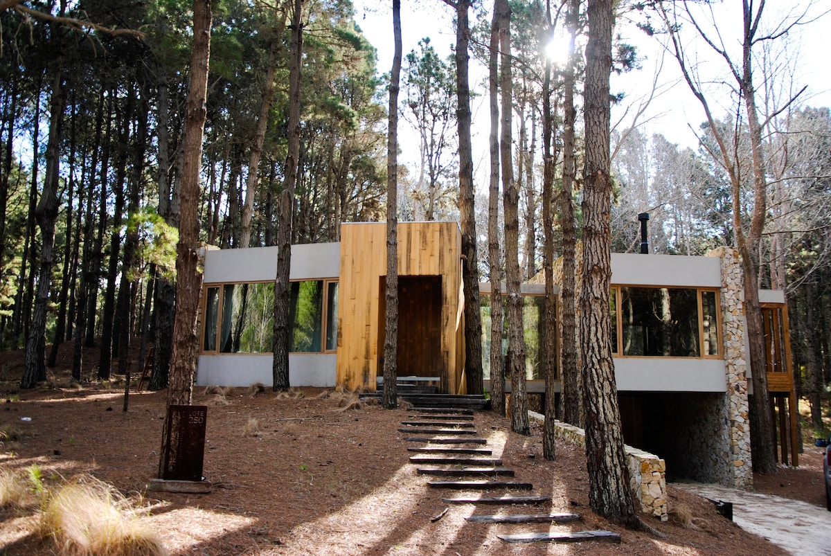 A modern, two-story home blends with the surrounding pine forest, featuring large windows and warm wood accents. A stone pathway leads to the entrance, framed by tall trees and natural landscaping that creates a serene setting.